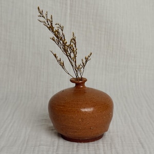 May include: A small, round, terracotta-coloured ceramic vase with a speckled texture and a narrow neck. A single, dried, light brown sprig of statice flower is placed inside the vase, extending upwards from the opening of the vessel.