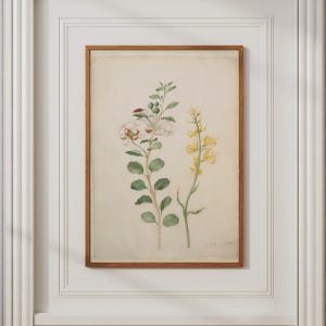 Könnte beinhalten: Eine gerahmte botanische Illustration auf cremefarbenem Papier mit zwei verschiedenen Pflanzenstielen. Der linke Stiel zeigt weiße Blüten, grüne Blätter und ein kleines rotes Insekt. Der rechte Stiel zeigt gelbe Blüten. Der Rahmen ist aus Holz.