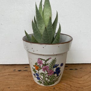May include: A ceramic flower pot with a speckled off-white glaze and a brown rim, featuring a colorful botanical illustration of pink, blue, and orange wildflowers and green foliage on the front, containing a spiky green aloe vera plant.