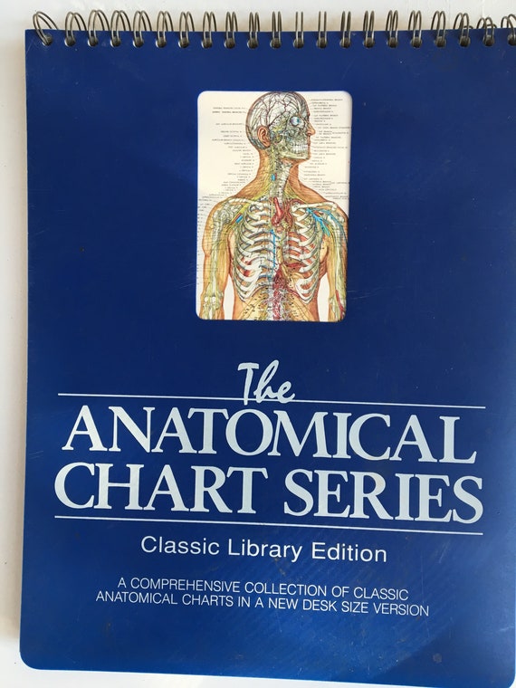 Anatomical Chart Series