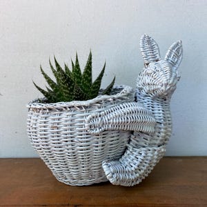 May include: A white wicker planter shaped like a rabbit, featuring a woven basket body and a sculpted bunny figure attached to the side. A green succulent plant with white speckled leaves is potted inside the round woven container.