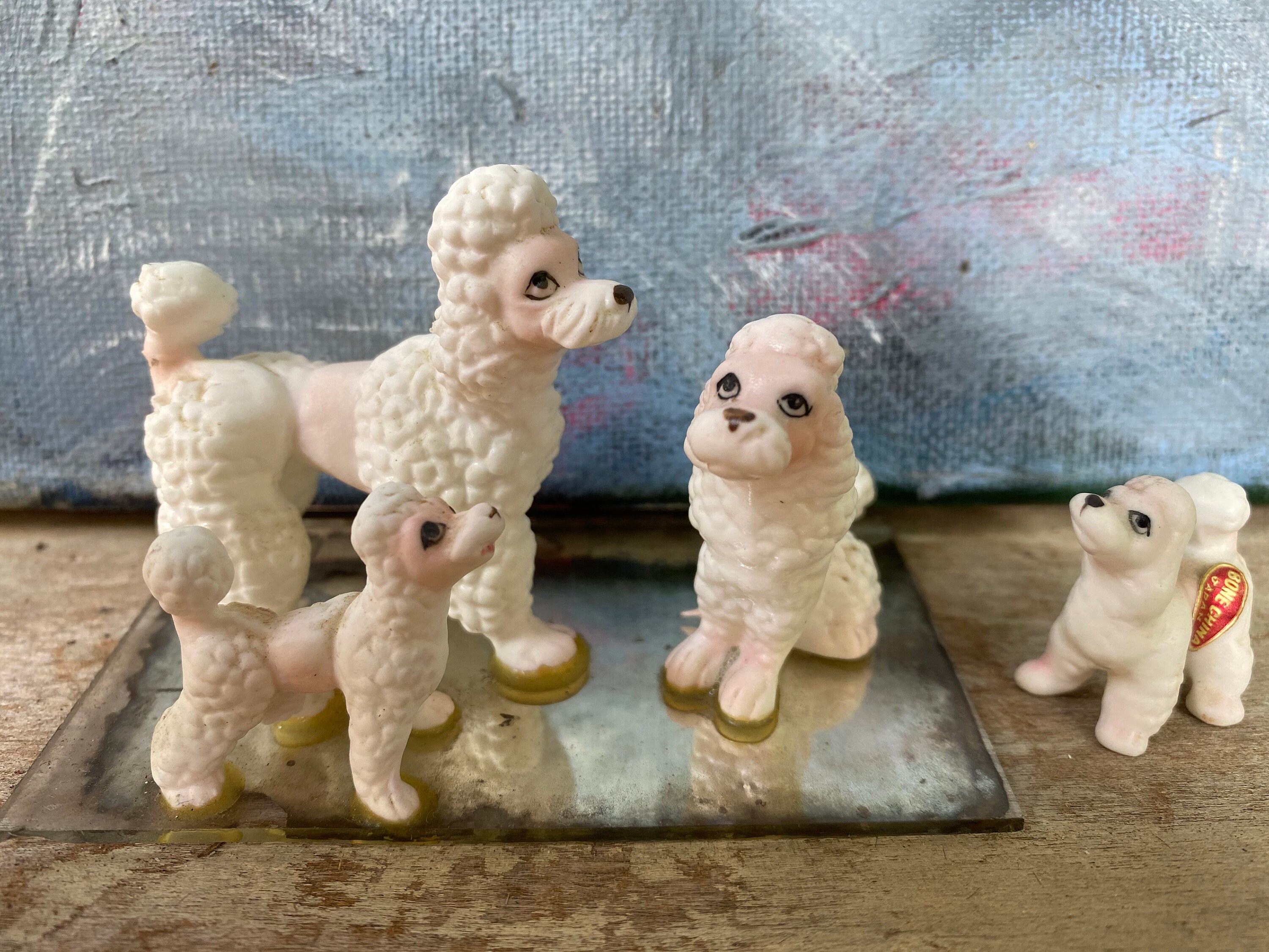 Bones For Toy Poodle