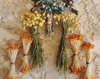 Vintage silk flowers, stamens for flower making, millinery supplies, vintage haberdashery.