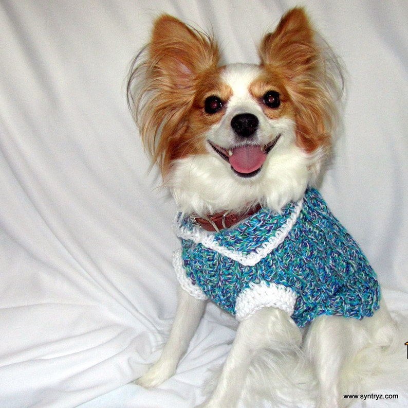 Small Dog Sweater Purple Green Turquoise White