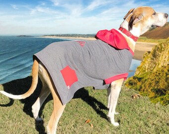 Great Dane Dog Hoodie: Custom 3XL/4XL Sweatshirt, Personalized Embroidery