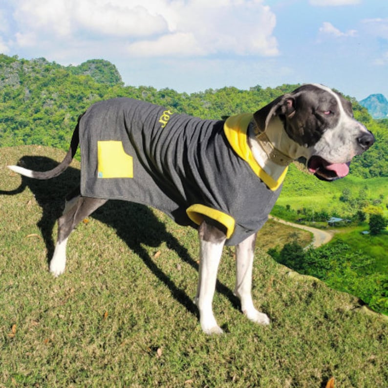 Giant Breed Great Dane Custom Dog Hoodies Large 4xlarge Soft Etsy