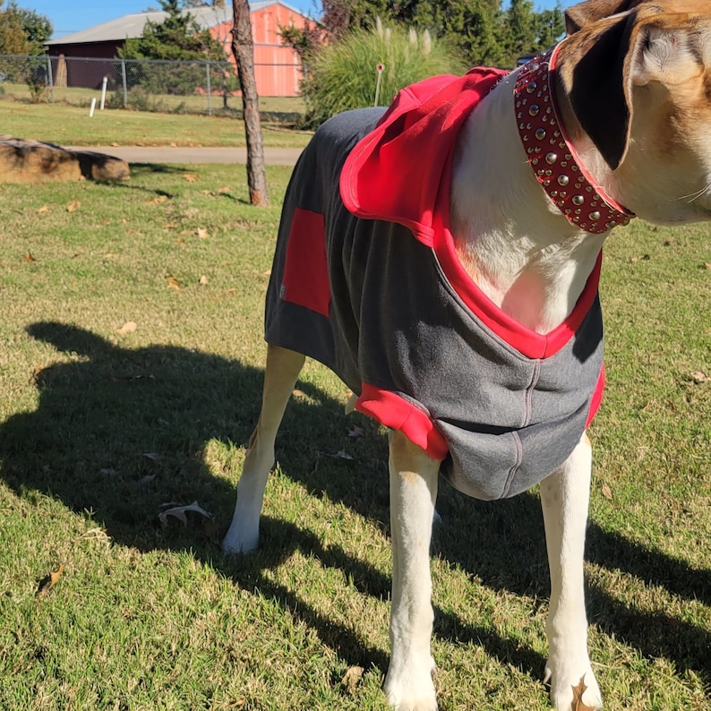 Giant Breed Great Dane Custom Dog Hoodies Large to 4xlarge in Etsy