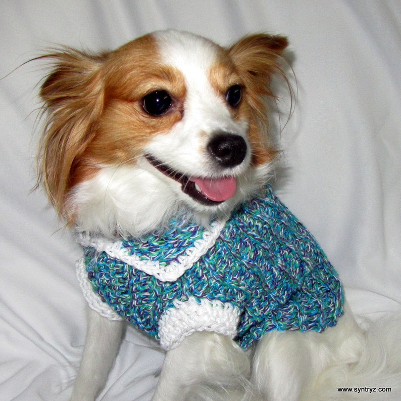 Small Dog Sweater Purple Green Turquoise White