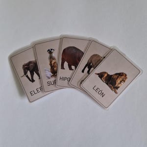 Op de afbeelding: Een set van vijf rechthoekige, gelamineerde educatieve kaarten in een waaier. Elke kaart bevat een kleurenfoto van een wild dier, waaronder een olifant, stokstaartje, nijlpaard en leeuw, met bijbehorende tekstlabels onderaan de afbeelding.