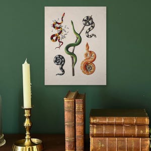 Schlangenposter | Vintage-Reptilien-Exemplar-Tabelle | Herpetologisches Wandbild | Geschenk für Reptilienliebhaber
