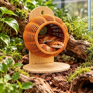 Op de afbeelding: Een ronde, oranje geweven rieten schuilplaats voor reptielen, gemonteerd op een lichtgekleurde houten standaard met een ronde voet. Een rattenslang met oranje en witte schubben ligt opgerold in de structuur, met de kop bij de opening.