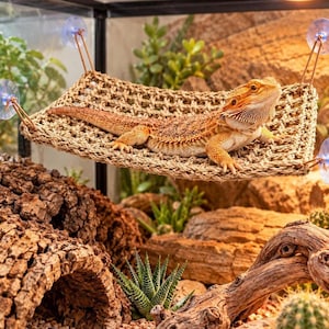 Reptilhängmatta med sugkoppar, vävd ödlesäng för skäggagam och gecko