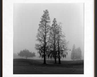 Solitude - Black and White Fine Art Photo