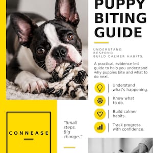 May include: A puppy biting guide by Connease featuring a black and white French Bulldog chewing on a rope toy. The text includes Puppy Biting Guide, Understand, Respond, Build Calmer Habits, and Small steps. Big change. Icons represent steps.