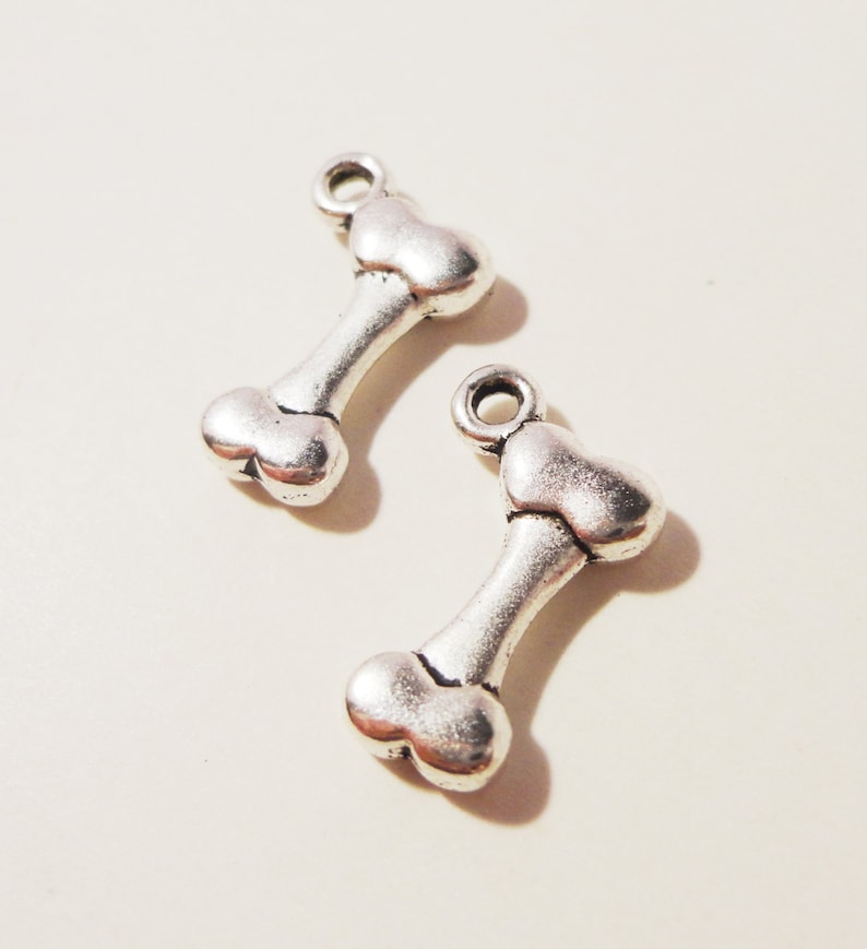 BULK 50 Bone charms silver tone A300