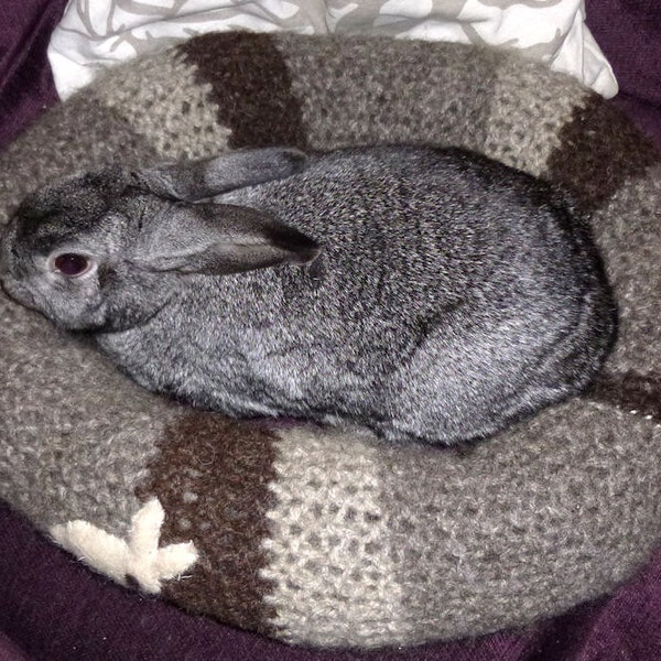 Ugli Donut bunny rabbit bed for a medium sized bunny undyed natural Jacobean sheep wool