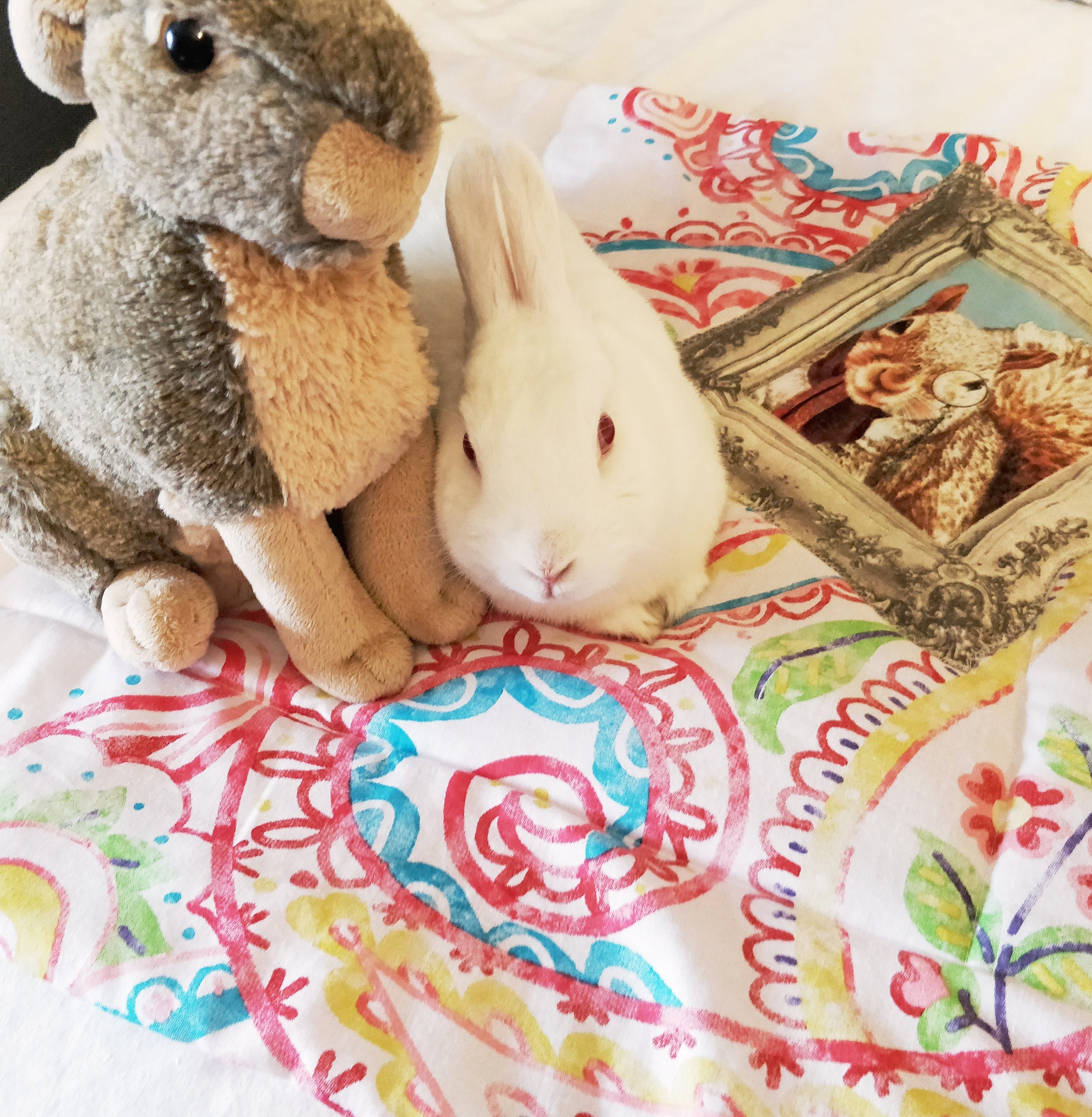 XL Eco Cotton Padded Bunny Rabbit Mat Bed Etsy