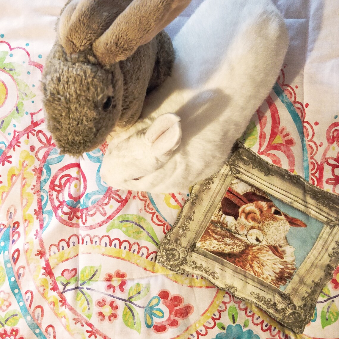 XL Eco Cotton Padded Bunny Rabbit Mat Bed Etsy