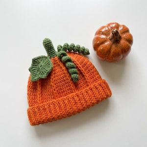May include: A bright orange crocheted beanie hat featuring a ribbed brim and a textured pumpkin design on top. The hat is adorned with a green crocheted leaf and a spiraled green vine. Beside the hat sits a small, speckled orange ceramic pumpkin.