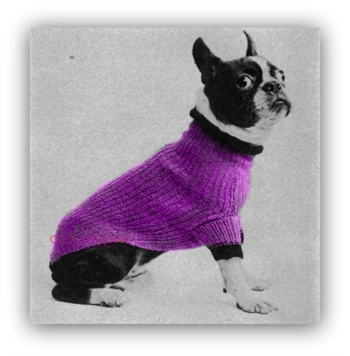 Dog Sweater Knitting Pattern Dog Coat Boston Terrier Sweater Etsy