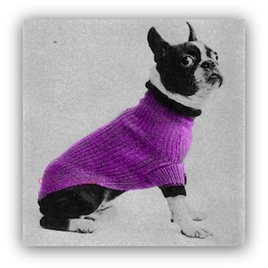 Dog Sweater Knitting Pattern Dog Coat Boston Terrier Sweater Pattern Vintage 1950's PDF Knitting Pattern Instant Download image 1