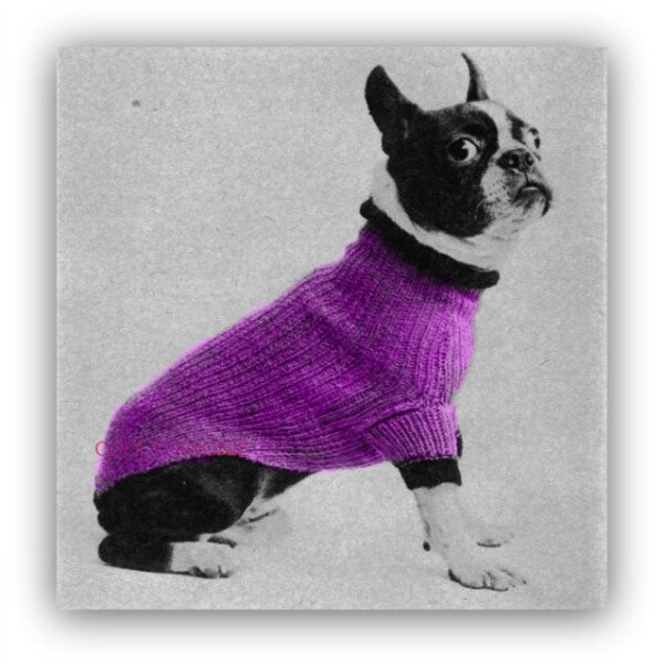 Modèle de pull pour chien, manteau pour chien, modèle de pull Boston Terrier, vintage des années 1950, modèle de tricot PDF à téléchargement immédiat