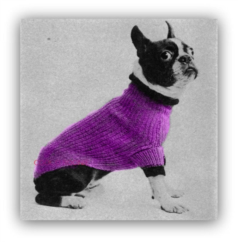 Dog Sweater Knitting Pattern Dog Coat Boston Terrier Sweater Pattern Vintage 1950's PDF Knitting Pattern Instant Download image 1