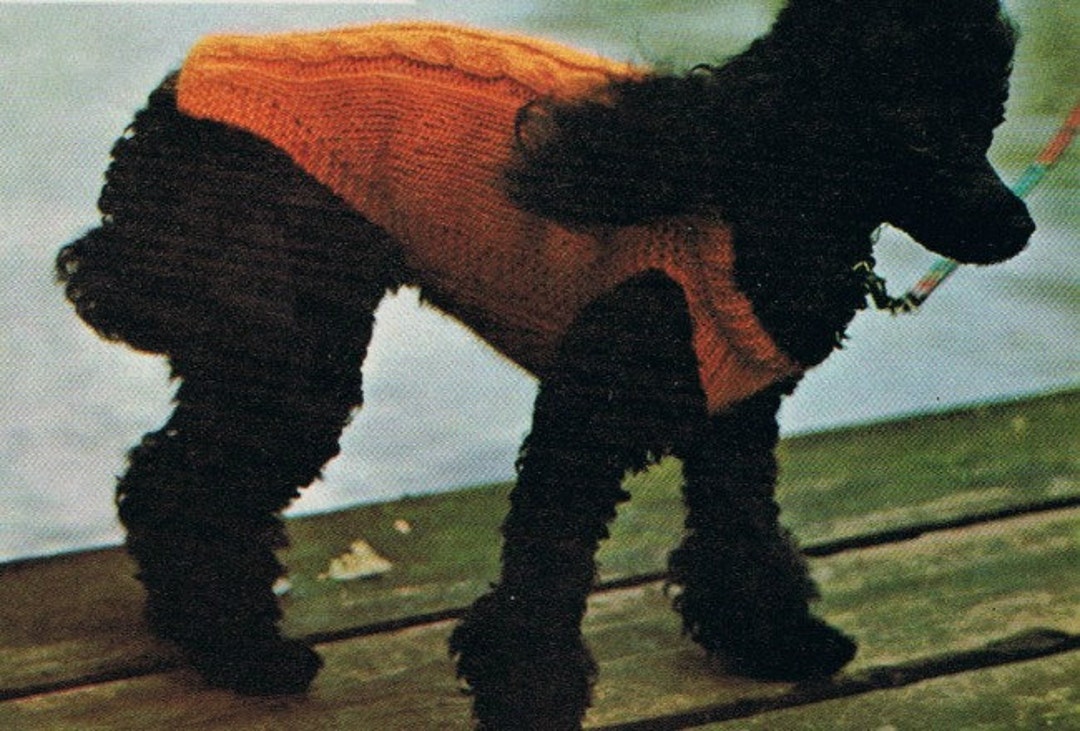 Dog Coat Knitting Pattern Cable Knit Pattern Dog Sweater Jacket PDF Knitting Pattern Etsy