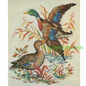 Vintage Cross Stitch Pattern - Mallard Ducks Pattern - Kitchy 60's PDF Cross Stitch Pattern Instant Download