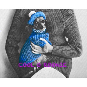 Dog Sweater & Tam Knitting Pattern - Vintage Dog Coat and Hat PDF Knitting Pattern Instant Download Size Options