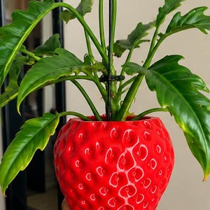 Jordgubbskruka | Söt fruktkruka | Kawaii rumsdekoration | Unik present till växtälskare