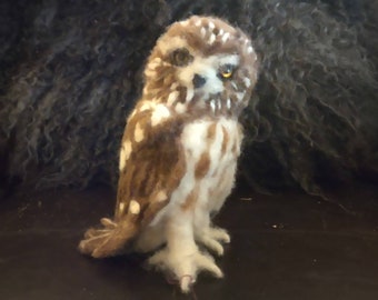 Needle Felted Saw-whet Owl