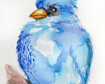 Baby Blue Bird greeting card