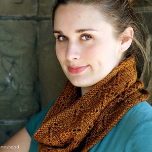 KNITTING PATTERN Downton Cowl Chevron Infinity Zig Zag Lace Worsted Quick Knit Scarf PDF image 5