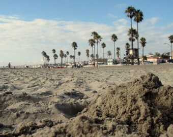 SoCal // Newport Beach, CA // beach // palm trees // sand // fine art print // travel photography