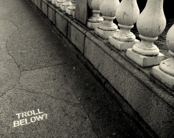 troll below // Dublin, Irealnd // Father Mathew Bridge // black and white // street art