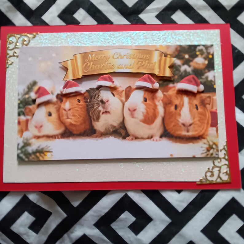 May include: A rectangular Christmas greeting card featuring five guinea pigs wearing small red and white Santa hats. A gold banner above them reads Merry Christmas Charlie and Phil. The card has a red border and gold corner accents.