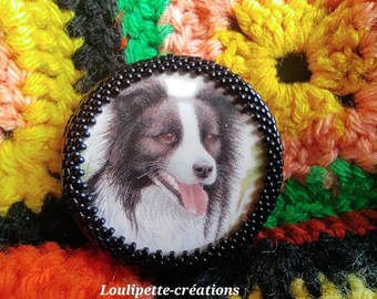 Broche border collie