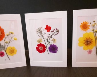 Natural Dried Flowers  Handmade Greeting Cards (Pack of 3) - Blank Inside