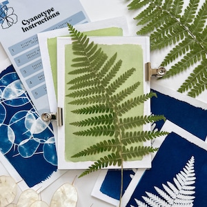 Pode incluir: Um kit de arte de cianotipia com instruções, apresentando impressões de samambaias e elementos botânicos. A imagem inclui uma samambaia verde prensada em um fundo verde claro, presa com um clipe de metal e várias impressões azuis e brancas.
