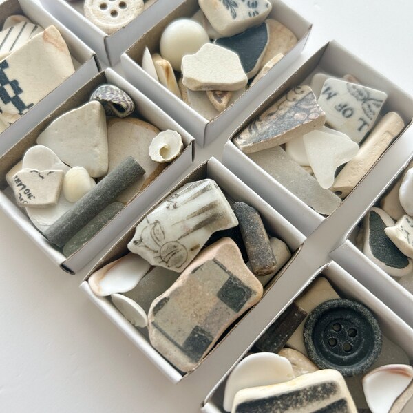 Matchbox of black and white beach finds - sea pottery, sea glass, shells, fossils