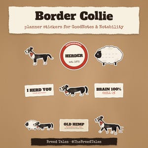 Pode incluir: Adesivos digitais para agenda com cães Border Collie e ovelhas. O texto inclui Border Collie, planner stickers for GoodNotes & Notability, Professional Herder est. 1873, I HERD YOU, BRAIN 100% CHILL 0%, OLD HEMP e Breed Tales @TheBreedTales.