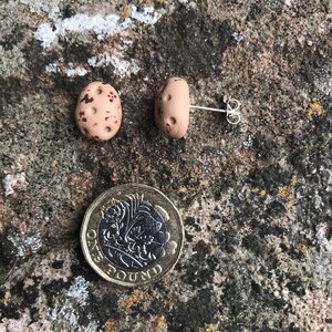 Può includere: Un paio di orecchini in argilla marrone macchiata con perni d'argento. Gli orecchini hanno la forma di piccole pietre arrotondate.