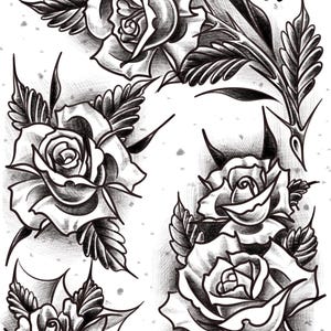 May include: A black and white graphite drawing featuring four distinct rose illustrations with detailed petals and leaves. The artwork includes the handwritten text REDFERN 26 in the upper right corner, showcasing shading and line work.