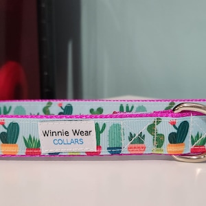 May include: A light blue dog collar with a pink border and a cactus print. The collar has a silver D-ring and a black buckle. The text "Winnie Wear COLLARS" is printed on the collar.