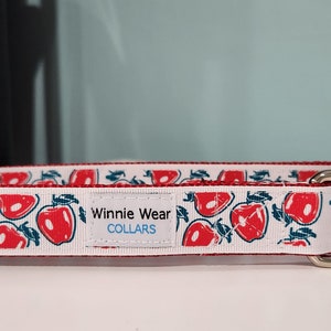 Fall Apples Collar - 2023