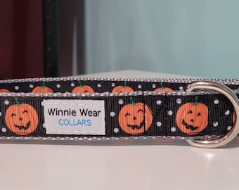 Halloween Jack O Lantern Dog & Cat Collar