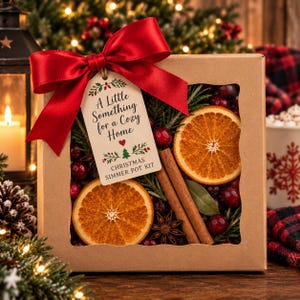 May include: A square cardboard gift box with a clear window containing dried orange slices, cinnamon sticks, star anise, cranberries, and pine sprigs. A red satin bow and a tag read: A Little Something for a Cozy Home CHRISTMAS SIMMER POT KIT.