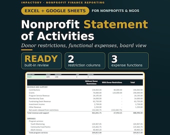 Nonprofit Statement of Activities Template | Excel and Google Sheets Income Functional Expenses & Board Report for Non Profit