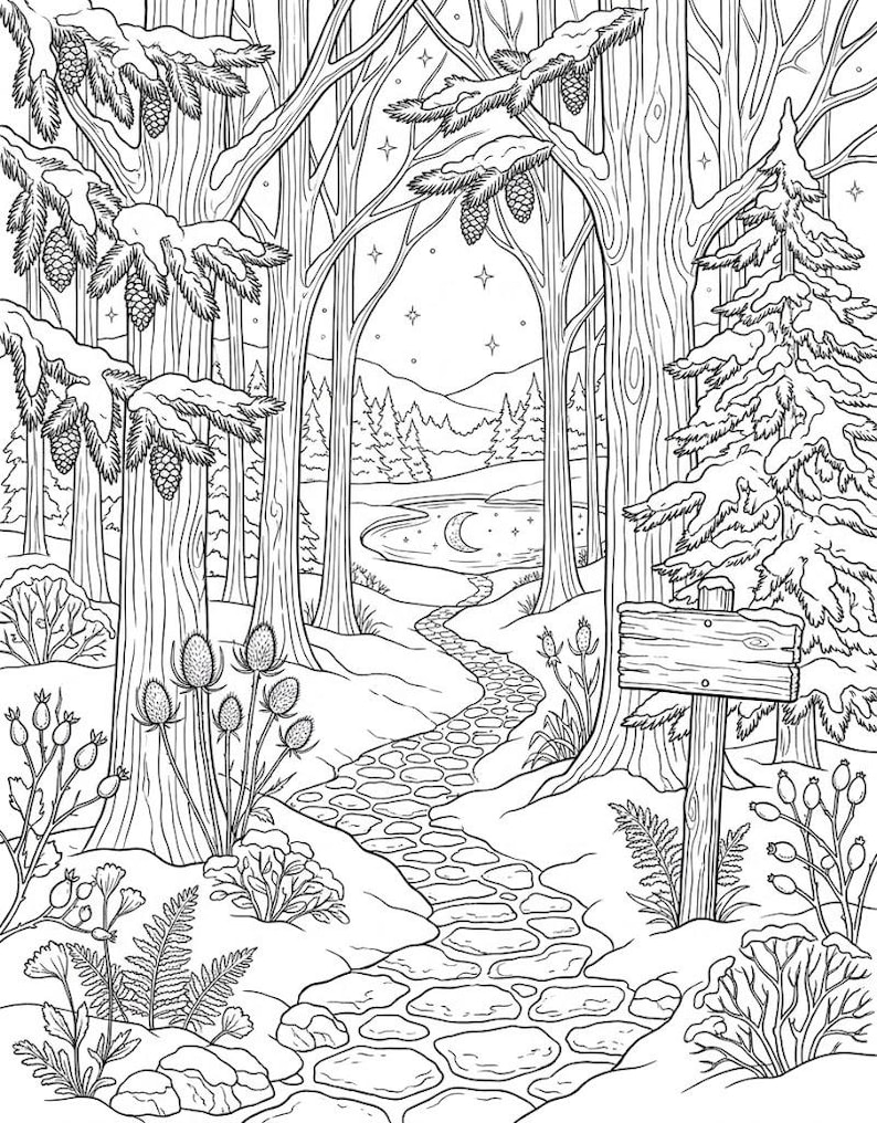 Winter Coloring Book for Adults PDF | Nature Scenes, Snowy Landscapes ...